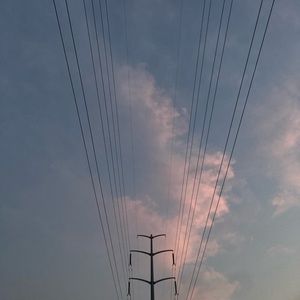 Meet your Posher, Cheyenne